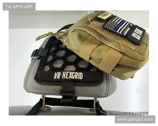 Keria辅助英雄玩法解析与战术搭配深度剖析