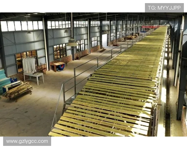 福建浔兴股份深耕智能制造与环保产业布局推动企业高质量发展新篇章