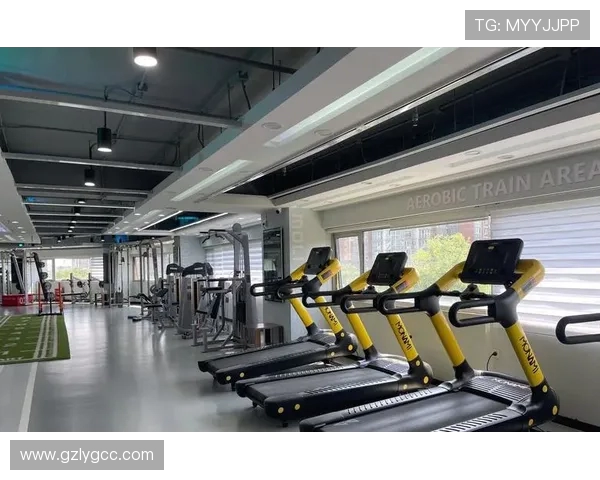 如何通过科学健身方法提升体能和塑造完美身材的全面指南