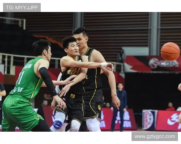 浙江广厦引领篮球新篇章 聚焦球队发展与未来蓝图