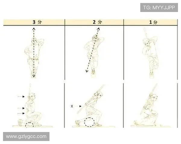 科学健身全指南打造高效训练计划助你塑造理想体型与健康生活