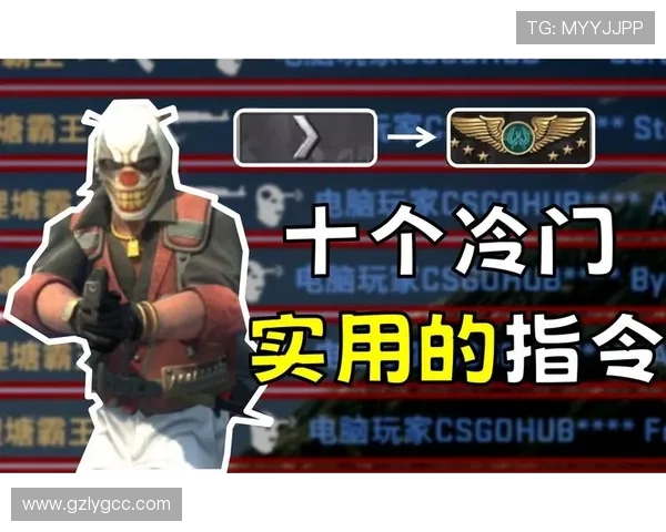 从零起步到高手之路CSGO全面攻略与实战技巧分享 从零起步到高手之路CSGO全面攻略与实战技巧分享