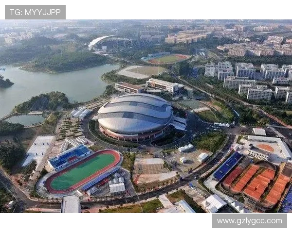 广州极限运动队状态深度对比与发展趋势分析