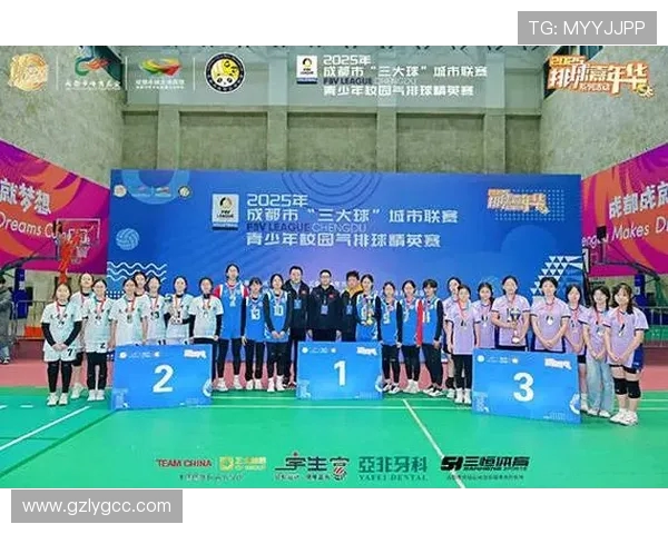 成都排球队在城市联赛中的卓越表现与力量分析