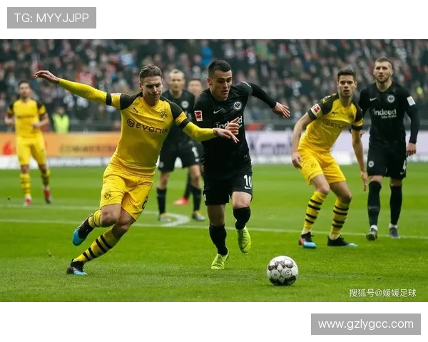 2015年弗赖堡对阵多特蒙德亚盘分析与赛事回顾