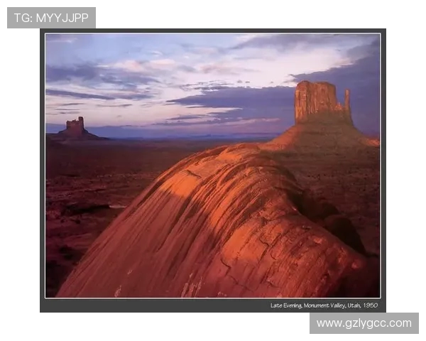 亚当斯的传奇人生与科学探索之旅揭秘