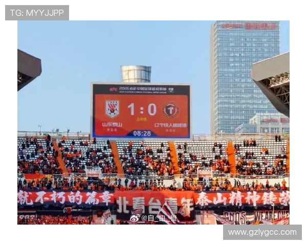 山东对阵辽宁精彩全场直播回顾与赛后分析尽在这里