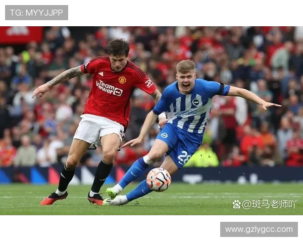 布赖顿主场迎战曼联双方争夺英超关键三分之战 布赖顿主场迎战曼联双方争夺英超关键三分之战